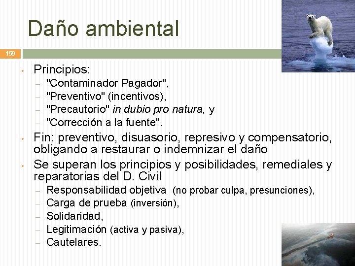 Daño ambiental 159 • Principios: – – • • "Contaminador Pagador", "Preventivo" (incentivos), "Precautorio"