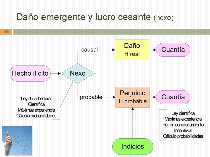 Daño emergente y lucro cesante (nexo) 165 