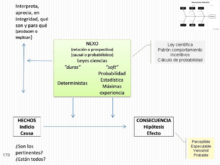 Ley científica Patrón comportamiento Incentivos Cálculo de probabilidad 170 Perceptible Especulable Verosímil Probable 