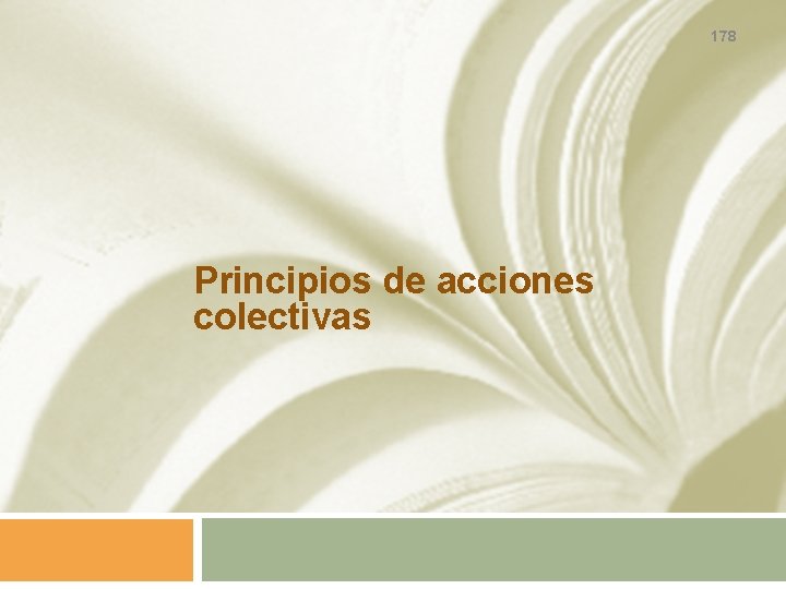 178 Principios de acciones colectivas 