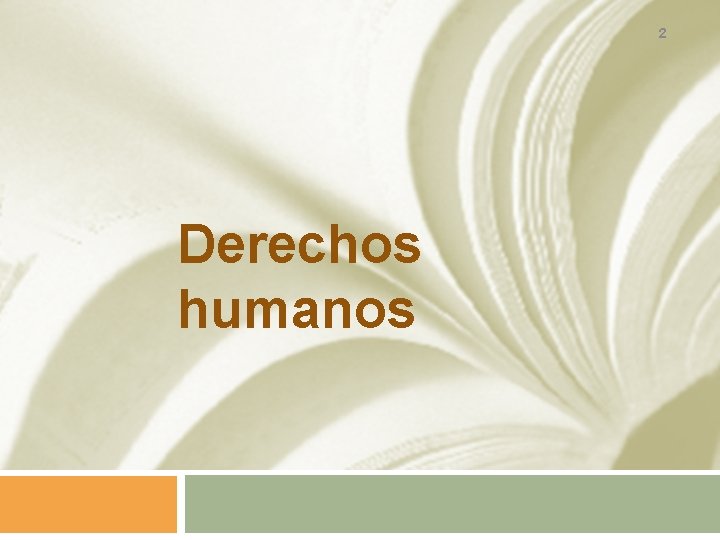 2 Derechos humanos 