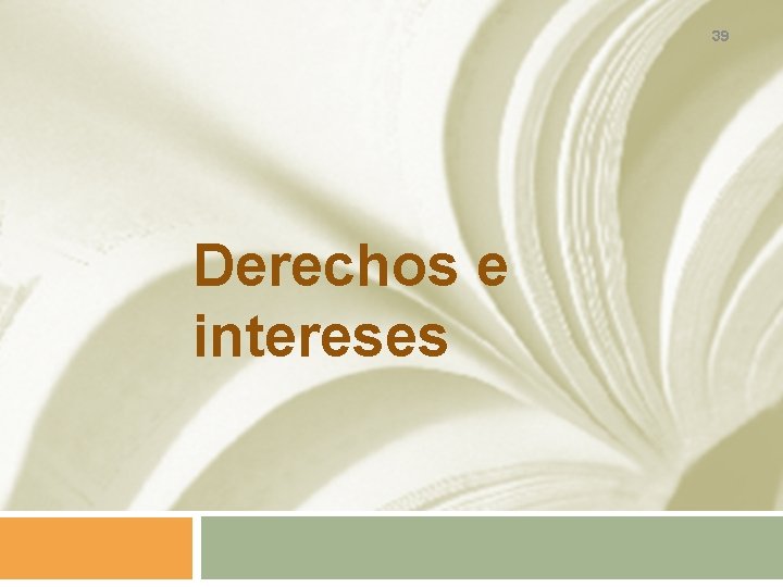 39 Derechos e intereses 
