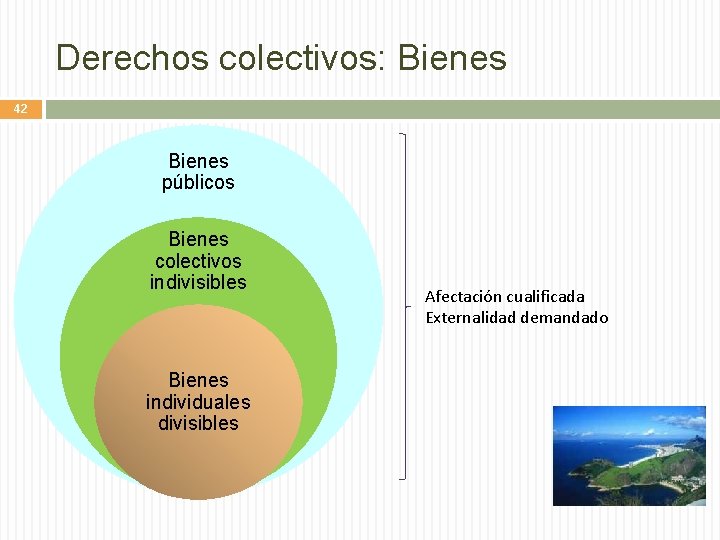 Derechos colectivos: Bienes 42 Bienes públicos Bienes colectivos indivisibles Bienes individuales divisibles Afectación cualificada