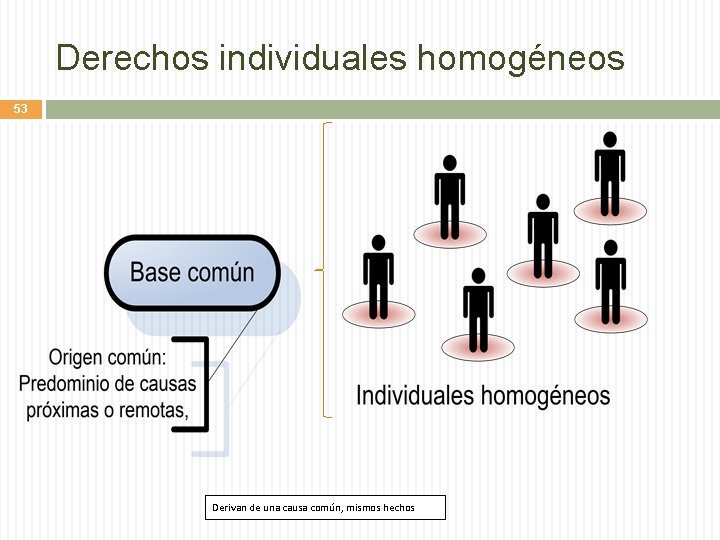 Derechos individuales homogéneos 53 Derivan de una causa común, mismos hechos 