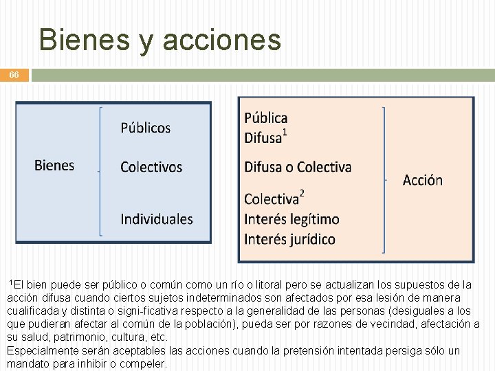 Bienes y acciones 66 1 El bien puede ser público o común como un