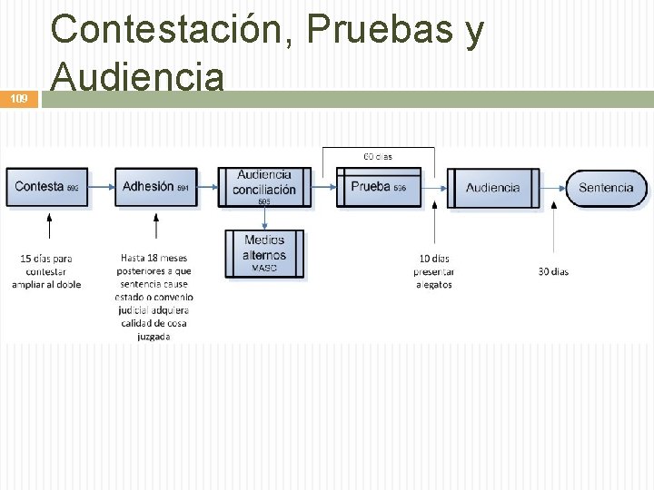 109 Contestación, Pruebas y Audiencia 