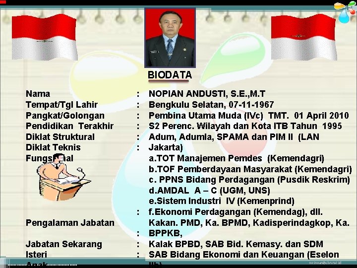 BIODATA Nama Tempat/Tgl Lahir Pangkat/Golongan Pendidikan Terakhir Diklat Struktural Diklat Teknis Fungsional : :