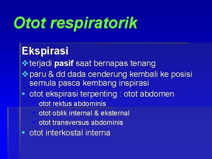 Otot respiratorik Ekspirasi v terjadi pasif saat bernapas tenang v paru & dd dada