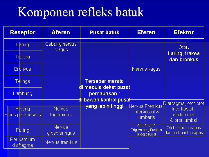 Komponen refleks batuk Reseptor Aferen Laring Cabang nervus vagus Pusat batuk Eferen Otot, Laring,