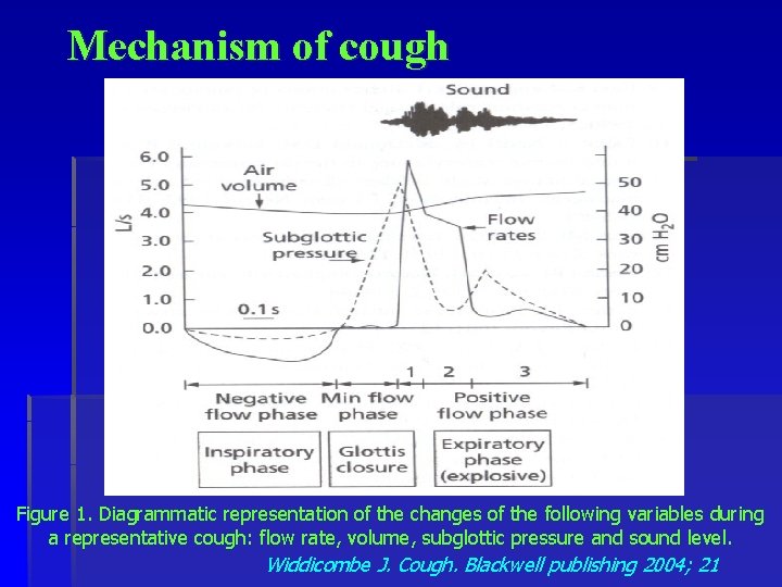 Mechanism of cough Figure 1. Diagrammatic representation of the changes of the following variables
