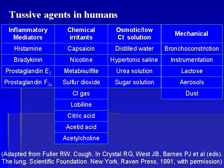 Tussive agents in humans Inflammatory Mediators Chemical irritants Osmotic/low Cl- solution Mechanical Histamine Capsaicin