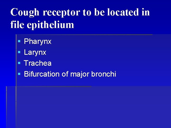 Cough receptor to be located in file epithelium § § Pharynx Larynx Trachea Bifurcation