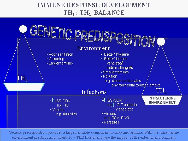IMMUNE RESPONSE DEVELOPMENT TH 1 : TH 2 BALANCE Environment • Poor sanitation •