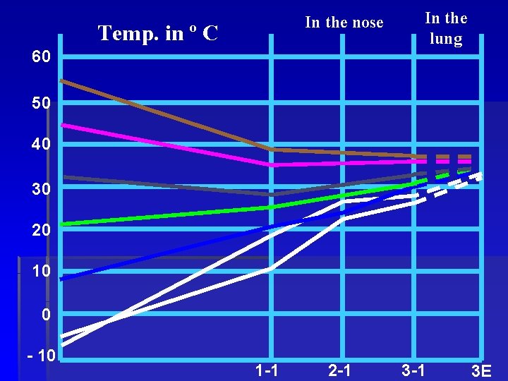 In the nose Temp. in º C 60 In the lung 50 40 30