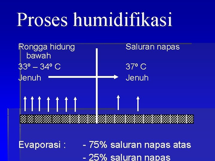 Proses humidifikasi Rongga hidung bawah 33º – 34º C Jenuh Evaporasi : Saluran napas