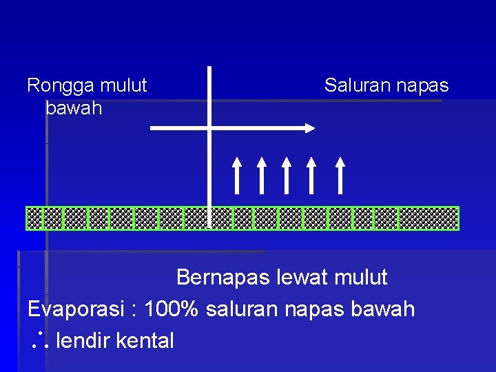 Rongga mulut bawah Saluran napas Bernapas lewat mulut Evaporasi : 100% saluran napas bawah