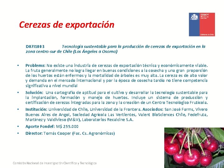 Cerezas de exportación D 07 I 1003 Tecnología sustentable para la producción de cerezas