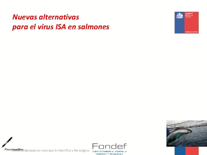 Nuevas alternativas para el virus ISA en salmones Precompetitivo 