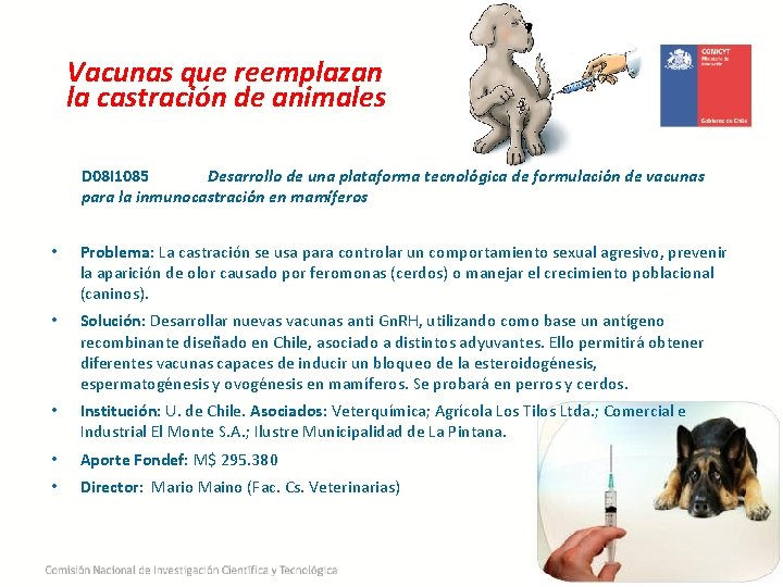 Vacunas que reemplazan la castración de animales D 08 I 1085 Desarrollo de una Vacunas que reemplazan la castración de animales D 08 I 1085 Desarrollo de una