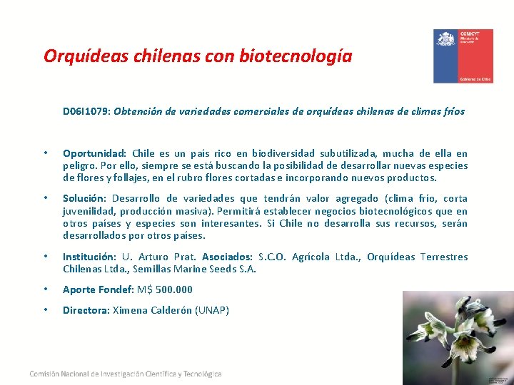 Orquídeas chilenas con biotecnología D 06 I 1079: Obtención de variedades comerciales de orquídeas