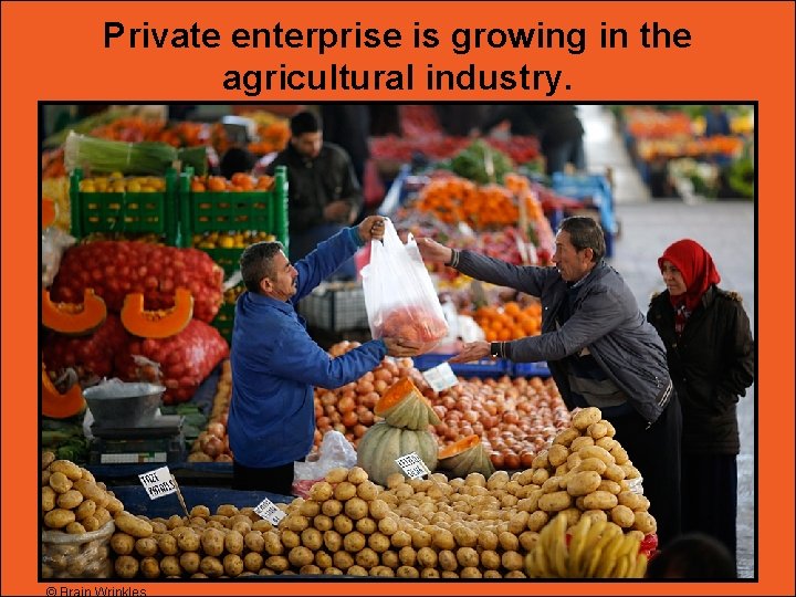 Private enterprise is growing in the agricultural industry. 