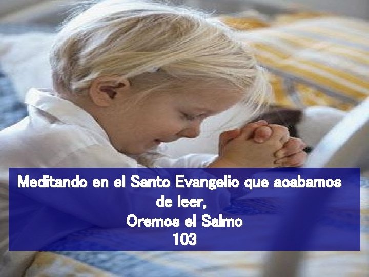 Meditando en el Santo Evangelio que acabamos de leer, Oremos el Salmo 103 