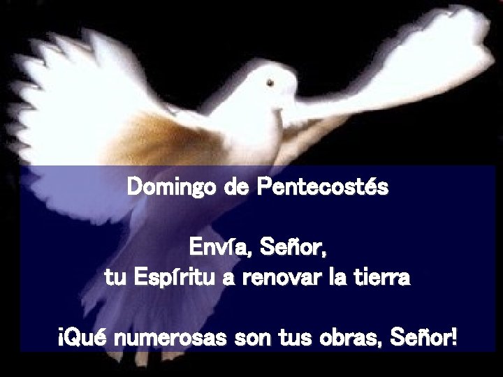 Domingo de Pentecostés Envía, Señor, tu Espíritu a renovar la tierra ¡Qué numerosas son