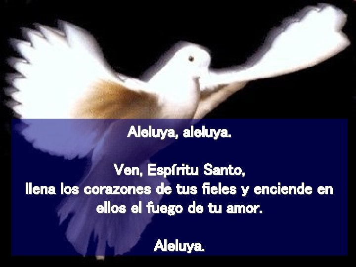 Aleluya, aleluya. Ven, Espíritu Santo, llena los corazones de tus fieles y enciende en