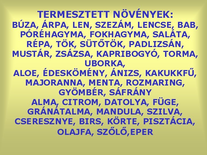TERMESZTETT NÖVÉNYEK: BÚZA, ÁRPA, LEN, SZEZÁM, LENCSE, BAB, PÓRÉHAGYMA, FOKHAGYMA, SALÁTA, RÉPA, TÖK, SÜTŐTÖK,