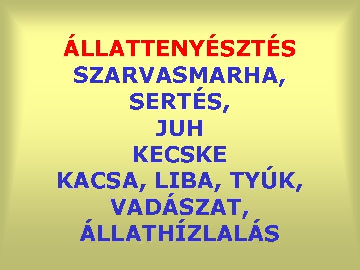 ÁLLATTENYÉSZTÉS SZARVASMARHA, SERTÉS, JUH KECSKE KACSA, LIBA, TYÚK, VADÁSZAT, ÁLLATHÍZLALÁS 