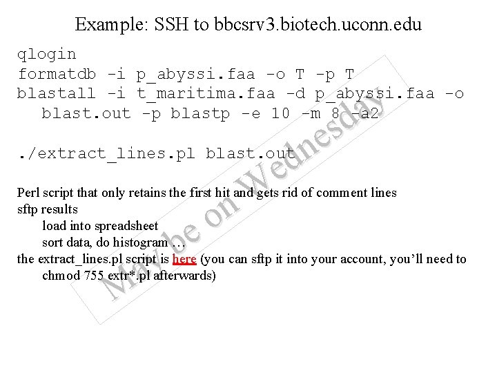 Example: SSH to bbcsrv 3. biotech. uconn. edu qlogin formatdb -i p_abyssi. faa -o