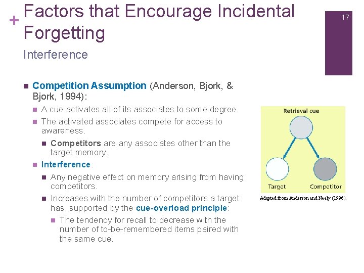 Factors that Encourage Incidental + Forgetting 17 Interference n Competition Assumption (Anderson, Bjork, &