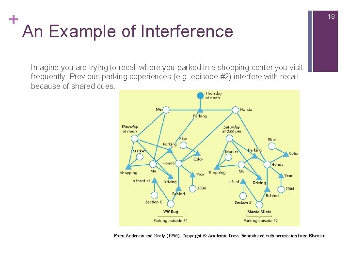 + 18 An Example of Interference Imagine you are trying to recall where you