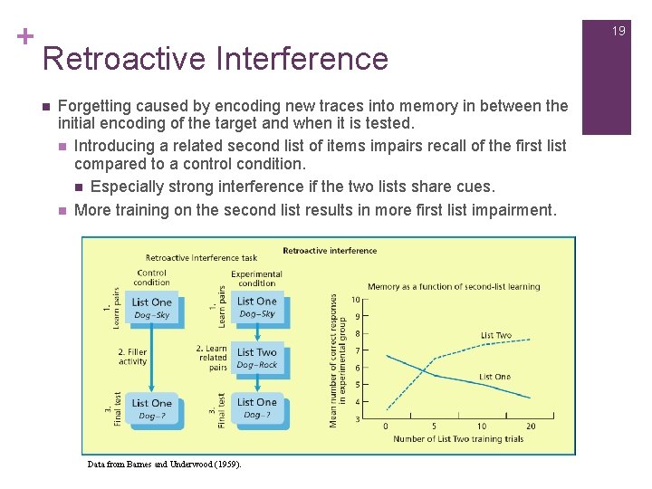 + 19 Retroactive Interference n Forgetting caused by encoding new traces into memory in