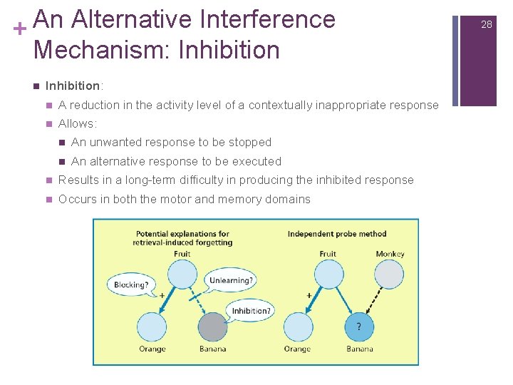 An Alternative Interference + Mechanism: Inhibition n Inhibition: n A reduction in the activity