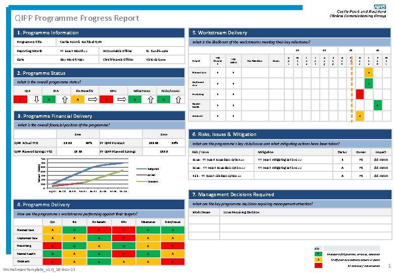 QIPP Programme Progress Report 1. Programme Information 5. Workstream Delivery Programme Title: Castle Point