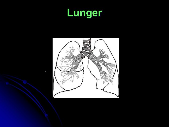 Lunger 