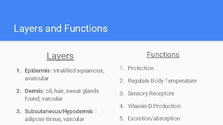 Layers and Functions Layers Functions 1. Epidermis : stratified squamous, avascular 1. Protection 2.