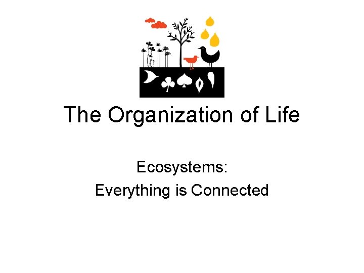 The Organization of Life Ecosystems: Everything is Connected The Organization of Life Ecosystems: Everything is Connected