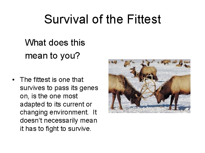Survival of the Fittest What does this mean to you? • The fittest is Survival of the Fittest What does this mean to you? • The fittest is