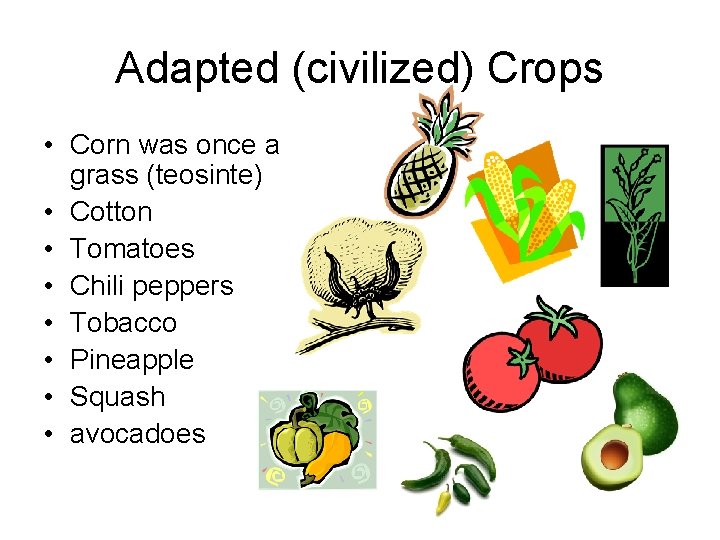Adapted (civilized) Crops • Corn was once a grass (teosinte) • Cotton • Tomatoes Adapted (civilized) Crops • Corn was once a grass (teosinte) • Cotton • Tomatoes