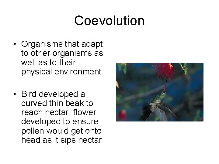 Coevolution • Organisms that adapt to other organisms as well as to their physical Coevolution • Organisms that adapt to other organisms as well as to their physical