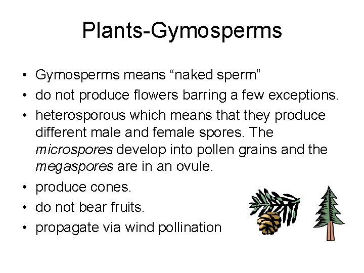 Plants-Gymosperms • Gymosperms means “naked sperm” • do not produce flowers barring a few Plants-Gymosperms • Gymosperms means “naked sperm” • do not produce flowers barring a few