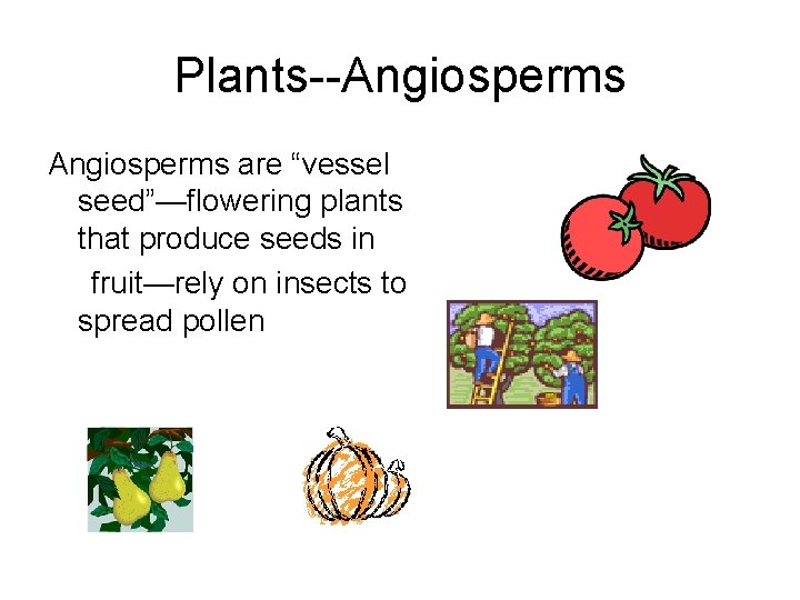 Plants--Angiosperms are “vessel seed”—flowering plants that produce seeds in fruit—rely on insects to spread Plants--Angiosperms are “vessel seed”—flowering plants that produce seeds in fruit—rely on insects to spread
