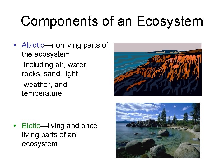 Components of an Ecosystem • Abiotic—nonliving parts of the ecosystem. including air, water, rocks, Components of an Ecosystem • Abiotic—nonliving parts of the ecosystem. including air, water, rocks,