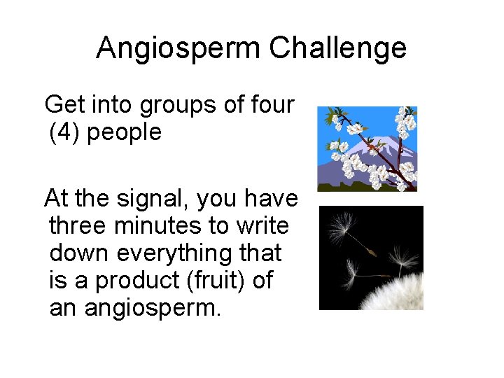 Angiosperm Challenge Get into groups of four (4) people At the signal, you have Angiosperm Challenge Get into groups of four (4) people At the signal, you have