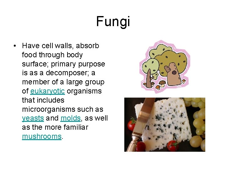 Fungi • Have cell walls, absorb food through body surface; primary purpose is as Fungi • Have cell walls, absorb food through body surface; primary purpose is as