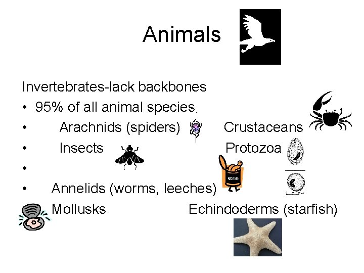 Animals Invertebrates-lack backbones • 95% of all animal species • Arachnids (spiders) Crustaceans • Animals Invertebrates-lack backbones • 95% of all animal species • Arachnids (spiders) Crustaceans •