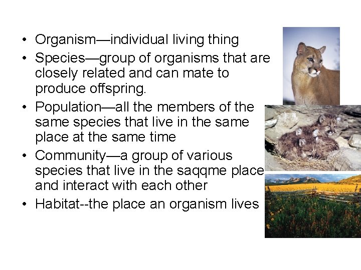 • Organism—individual living thing • Species—group of organisms that are closely related and • Organism—individual living thing • Species—group of organisms that are closely related and