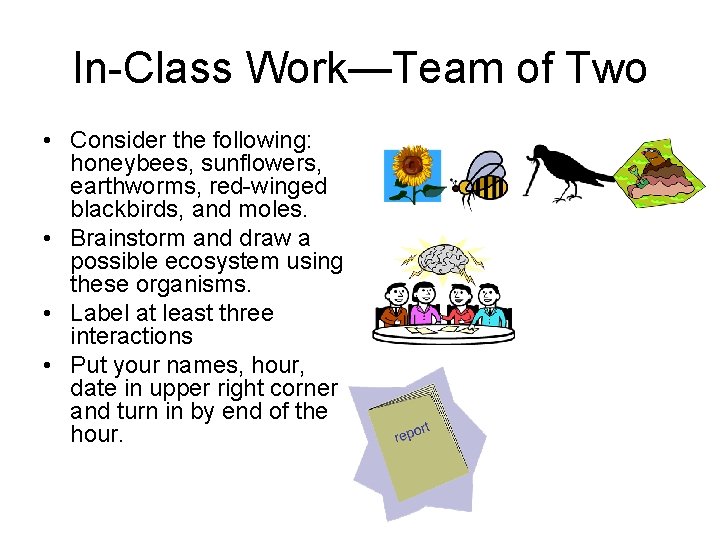 In-Class Work—Team of Two • Consider the following: honeybees, sunflowers, earthworms, red-winged blackbirds, and In-Class Work—Team of Two • Consider the following: honeybees, sunflowers, earthworms, red-winged blackbirds, and